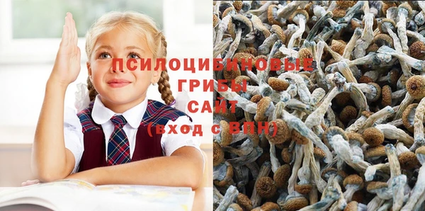 гашишное масло Коряжма