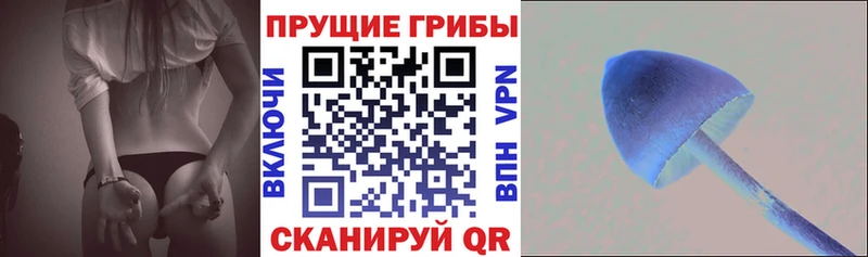 Псилоцибиновые грибы Cubensis  Купить  Валдай 